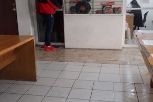 Ferrecorrecaminos en Xochimilco