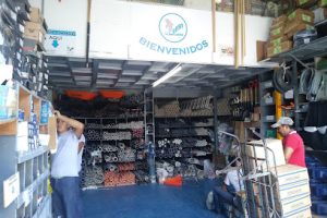 El Delfin en Cancún