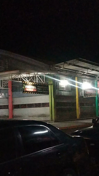 La Palmita en Tecomán