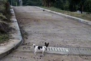 Tlapalería Casa Negrete en Naucalpan
