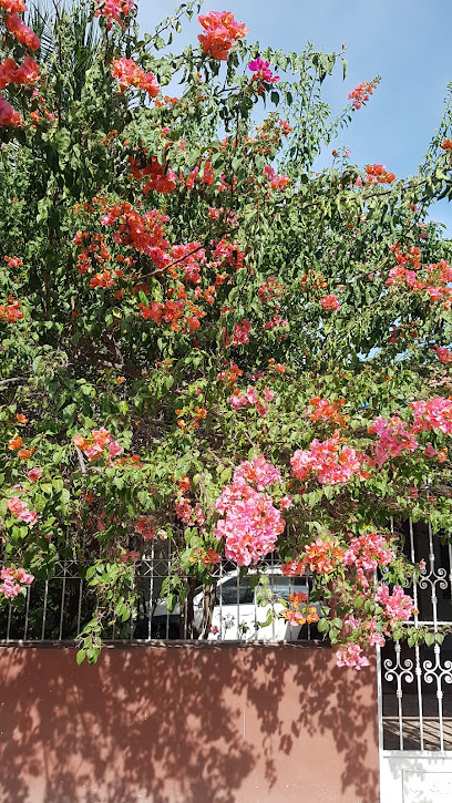 El Circuito en Chetumal