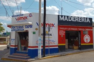 Pinturas Tapir en Tizimín
