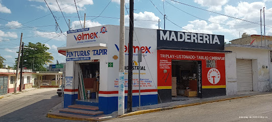 Pinturas Tapir en Tizimín